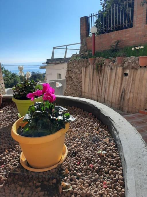 טרמולי Torre Del Meridiano Casa Vacanze Centrale מראה חיצוני תמונה